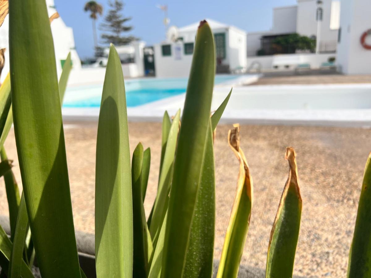 Las Mimosas Beach Sol Puerto del Carmen  Ngoại thất bức ảnh